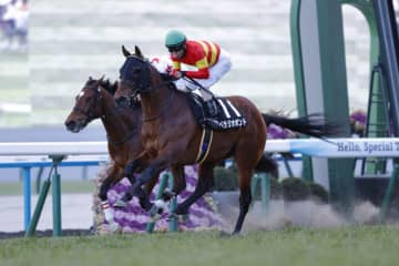 【新春S】ベラジオボンドが好位から抜け出し4勝目