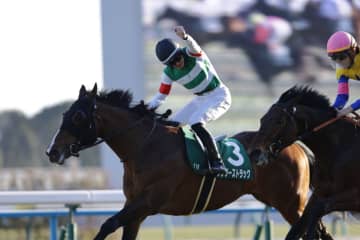 【シンザン記念】ハマーハンセン騎乗 サンダーストラックVで人馬ともに重賞初制覇