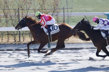 【新馬/京都4R】外国産アメリカンスタイルが抜け出す