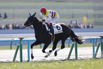 【新馬/京都5R】セイウンハーデス全妹、ニシノサリーナが5馬身差楽勝