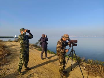 中国海南省で越冬水鳥の一斉モニタリング