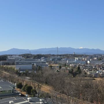 尾根の上で、千年分の風が抜ける                                       —多摩よこやまの道、冬のみちくさ—みちくさFeelog #14