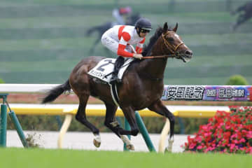 【京成杯登録馬】ダノンヒストリーなど17頭