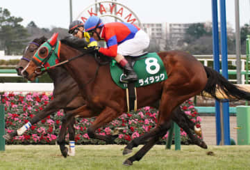 【日経新春杯登録馬】ライラックなど14頭