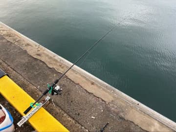 「ダイソー」釣り具＆アウトドアアイテム「3000円」でOK！　魚をその場で頂く「堤防 “釣り飯” スタイル」実践レポ！