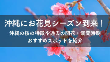 沖縄にお花見シーズン到来！沖縄の桜の特徴や過去の開花・満開時期、おすすめスポットを紹介