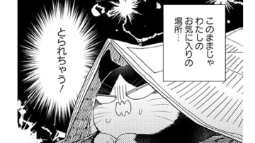 【猫視点】ぼや～んとしたヤツがずっと家にいる！ このままじゃ私の居場所をとられちゃう!!【同居人はひざ、時々、頭のうえ。 #40】