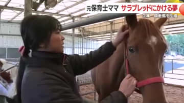「めざすは有馬記念！」元保育士ママの新たな挑戦　牛舎の隣でサラブレッド生産　4人の子育てしながら競走馬生産の夢を追う 【鹿児島発】