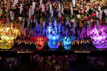 金魚アート「アートアクアリウム展」さいたまスーパーアリーナで開催決定