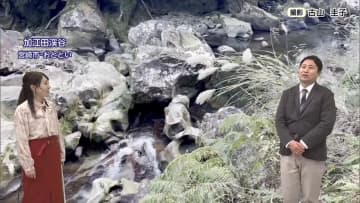 山火事を防ぐ新ルール！新たに導入された「林野火災警報・注意報」の基準や火の使用制限、違反時の罰則について気象予報士が解説