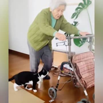 94歳のおばあちゃん→カートを押していると、『猫』がやって来て…心温まる『日常の光景』が45万再生「大好きなんだね」「いいコンビ」と絶賛