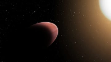 ラブ数が木星に近い？　ラグビーボール状の系外惑星「WASP-103b」
