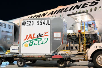新幹線と航空機で生鮮品を海外へ　JR東日本とJAL、荷物輸送でタッグ