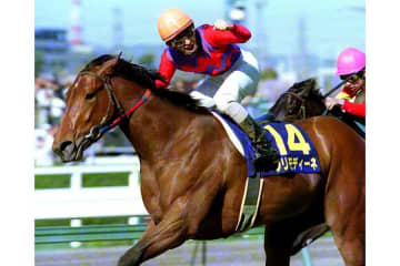 99年桜花賞馬プリモディーネが30歳で死す「老衰による起立不全のため」　JAIRSが発表、福永祐一初G1制覇のパートナー