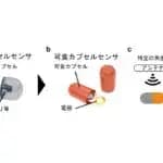 慶應義塾大学と電気通信大学が砂糖でできた医療用可食カプセルセンサを開発―回転しても情報送信可能