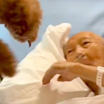 入院中、ずっと『犬に会いたい』と言っていたおじいちゃん→亡くなる10日前の『再会の瞬間』に涙が出ると80万再生「動物の力は絶大」「感謝」