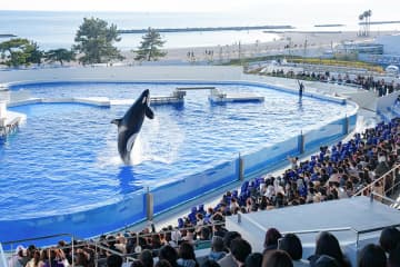 兵庫県民限定特典！神戸須磨シーワールドで感謝月間スタート