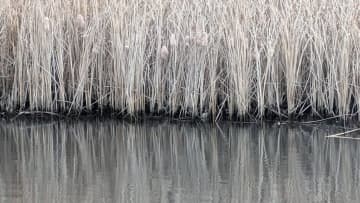 「マックス減水時からが冬本番」浚渫で濁りが入ればチャンス大！水位が大事な冬のリザーバー攻略