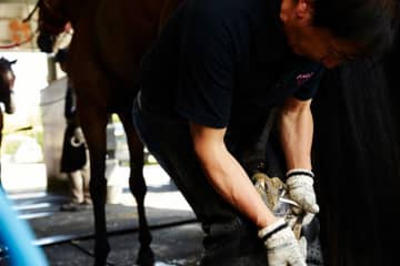 【装蹄師・西内荘コラム】雪に翻弄された帰路