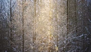 「こんなん美しすぎて一生見てられる」　北海道美瑛町のダイヤモンドダストに3.5万人感動