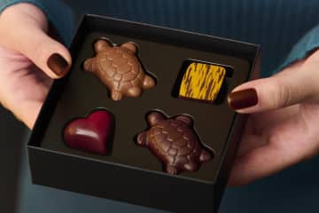 ブノワ・ニアン2026年バレンタインチョコレート、”青色グラデ”のハート