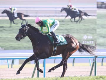 【きさらぎ賞】川田騎手は外せない！好成績のジョッキーデータと健闘する関東勢の攻略ポイント