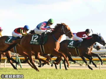 【東京新聞杯】フルゲート時の要注意ポイント！ 過去10年の傾向から見えてくる「買えない馬」とは