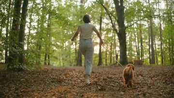 散歩中、なぜか森の中へと進もうとする犬。ついていくと……→まさかの救出劇に「よくやった」「胸が痛い」（アメリカ）