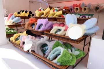 ポケモンのカチューシャが多種類登場「ポケパーク カントー」限定