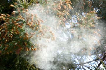 花粉症は国民の約4割、2026年は対策の前倒しが進行　オゾン除菌脱臭器の問い合わせが前年比3倍に