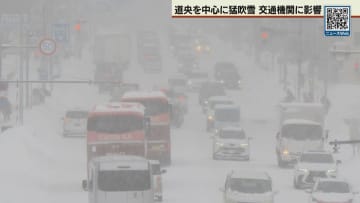 道央で暴風雪　交通機関に乱れ