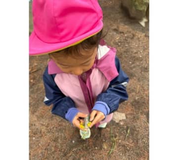 画像が削除されました