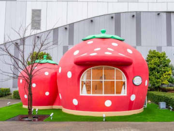 画像が削除されました