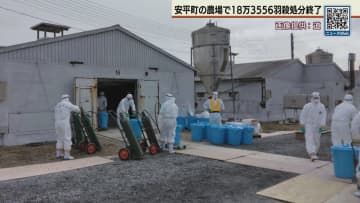 鳥インフルエンザ１８万３５５６羽殺処分終了　発生の安平町の農場