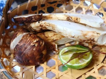 いまや“絶滅危惧種”の松茸も、30～40代男女「秋に食べたい旬の味覚」【完全版】