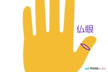 手に仏様の目!?「仏眼」とは【手相占い】