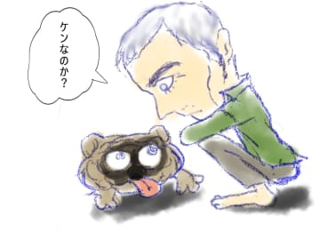 まだ結婚できない男 名物犬 ケンの現在は 続編での登場に期待 エンタメプラス 話題のエンタメ情報満載