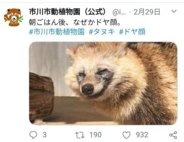 休園中でもほっこり ツイッターで動物の 日常 お届け 市川市動植物園 チバテレ プラス