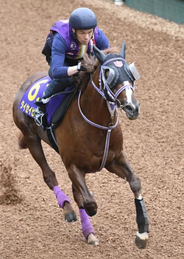 Nhk ãƒžã‚¤ãƒ« ã‚«ãƒƒãƒ— è¿½ã„ åˆ‡ã‚Š Article