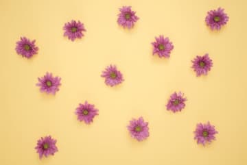 楽しい人生を送るための10のコツ