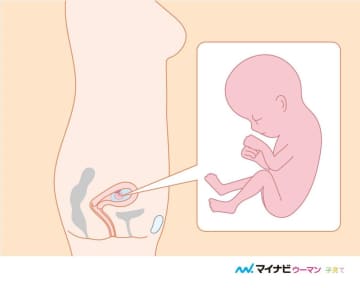 医師監修】妊娠11週のエコー写真を多数掲載！みんなのエピソードつき