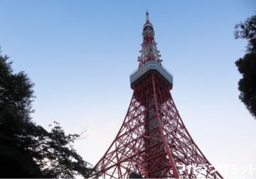 東京タワー の評価や評判 感想など みんなの反応を1週間ごとにまとめて紹介 ついラン