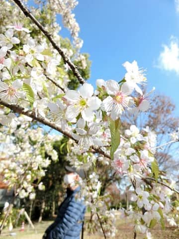 大阪市立長居植物園 の評価や評判 感想など みんなの反応を1週間ごとにまとめて紹介 ついラン