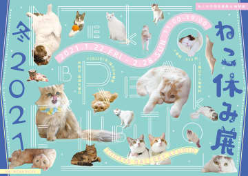 可愛すぎる猫が大集合！冬の「ねこ休み展」が２０２１年１月～開催！猫の日（2/22）限定企画でプレゼントも