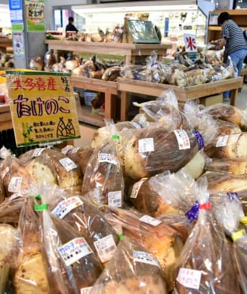 旬のタケノコ 早くも最盛期 道の駅に専用コーナーも 千葉 大多喜町 チバテレ プラス