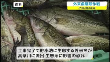 ブラックバスやブルーギルなどの外来魚を駆除せよ 小田川合流点付替え事業 岡山 倉敷市 香川 ニュース My J Com テレビ番組 視聴情報 動画が満載