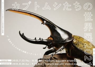 カブトムシやクワガタなど昆虫作品が大集合！「カブトムシたちの世界展 2021」が東京・名古屋で開催
