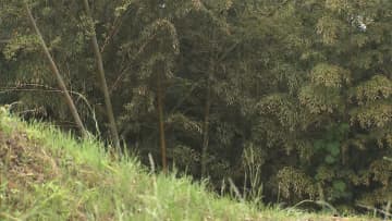 23歳男逮捕へ SNSで連絡　19歳女性 竹林で死亡