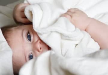 赤ちゃんに与えたいオーガニックぬいぐるみ6選 チバテレ プラス