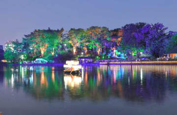 丘や水面に幻想的な光　千葉公園で「夜ハス」開幕　2年ぶりの対面型、コロナ禍の県都に彩り